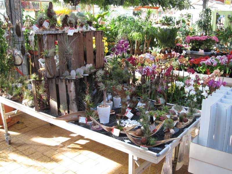 Datei:Baumarkt.jpg