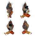 Pedipalpus