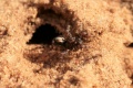 IMG 04.JPG